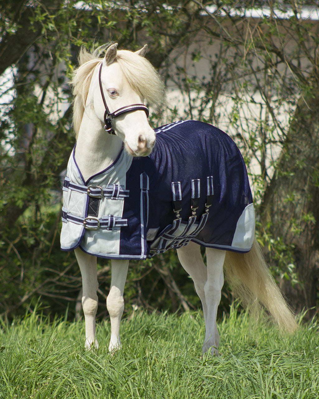 Falabella Fliegendecke