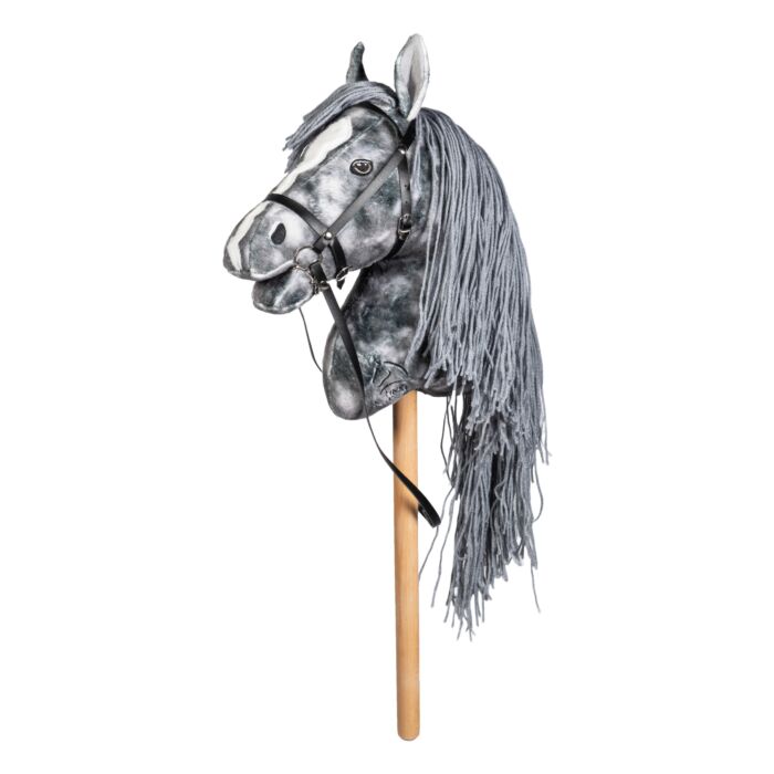 Steckenpferd