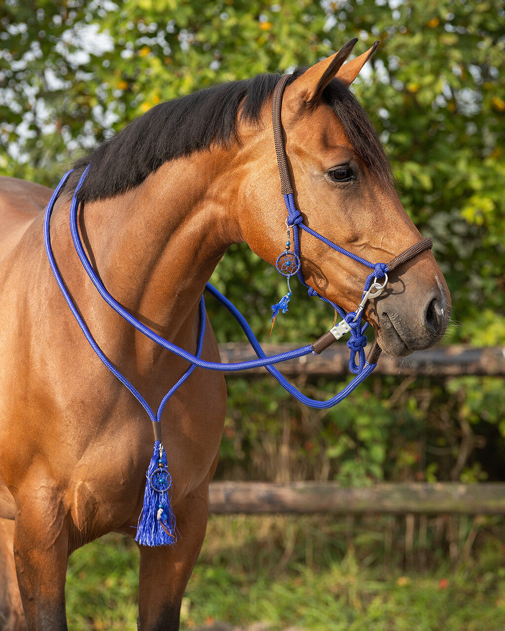 NEU – Seilhalfterkombi Liberty