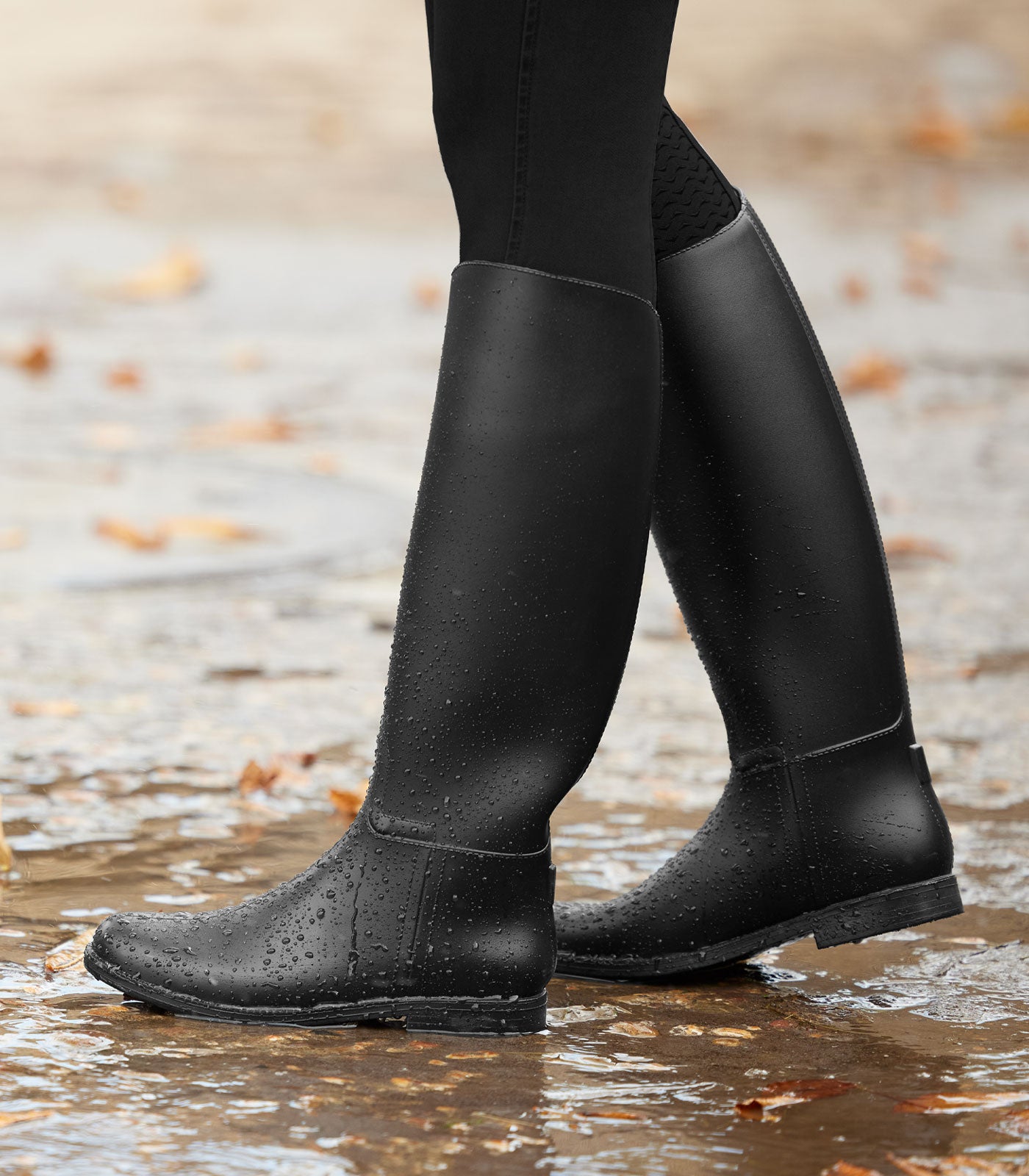 Reitstiefel - Stern