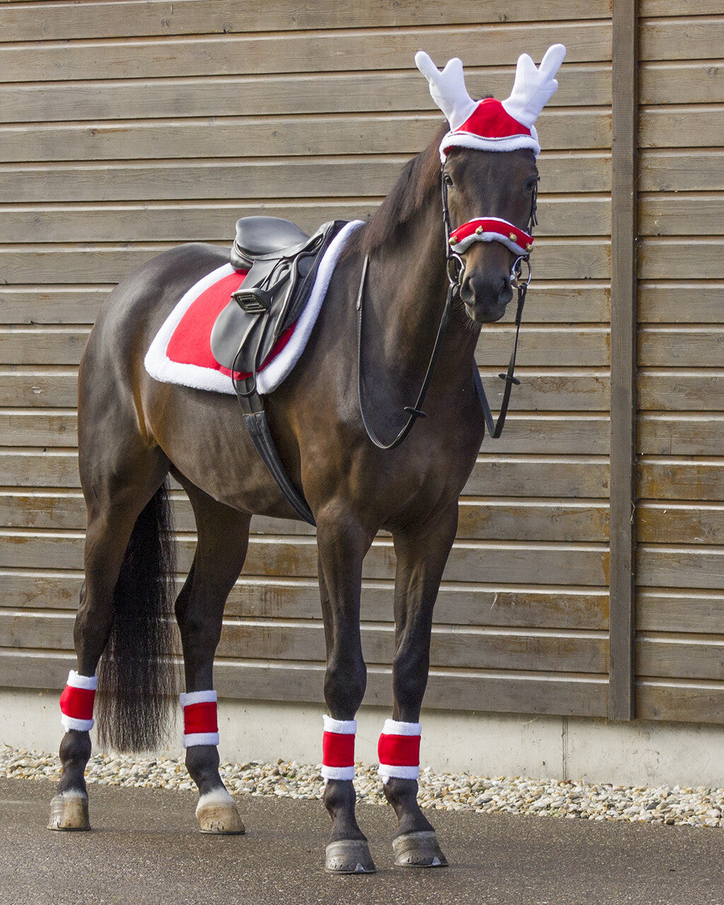 Weihnachtliche Schabracke