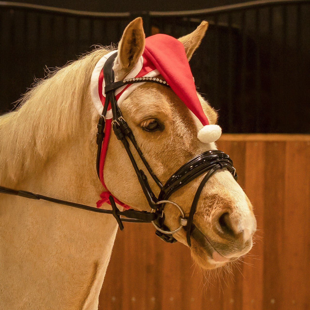 Weihnachtsmützen-Pferd