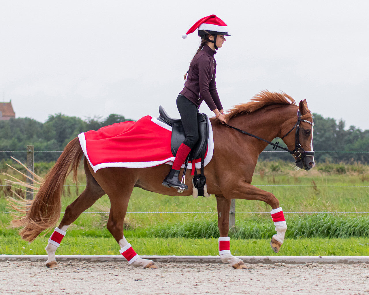 Weihnachtsübungsblatt