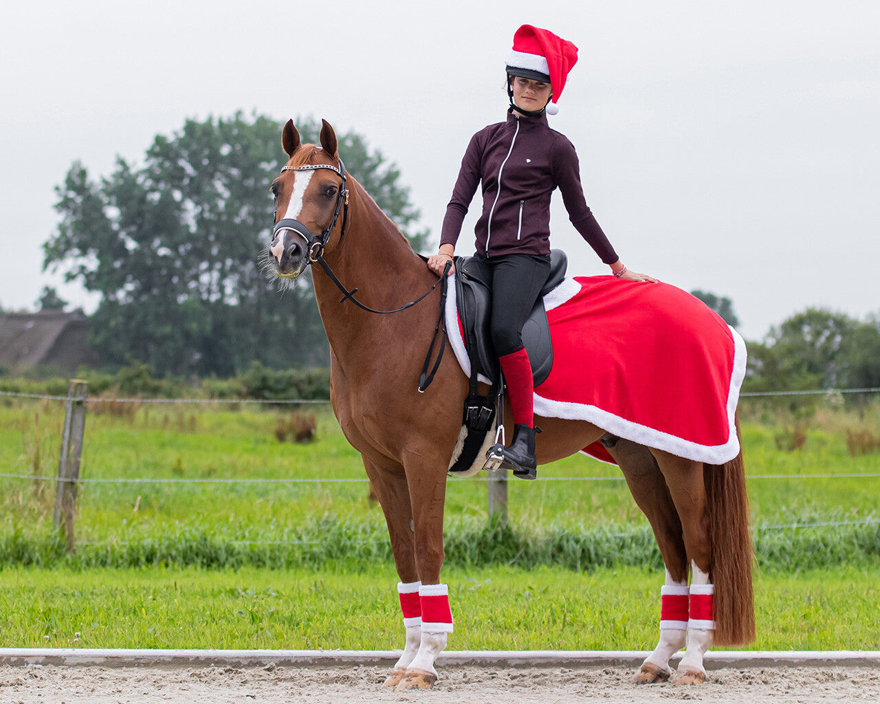Weihnachtsmütze